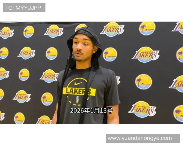 湖人选择巴夫金，而放弃了哪些买断市场的人选？原因是什么？